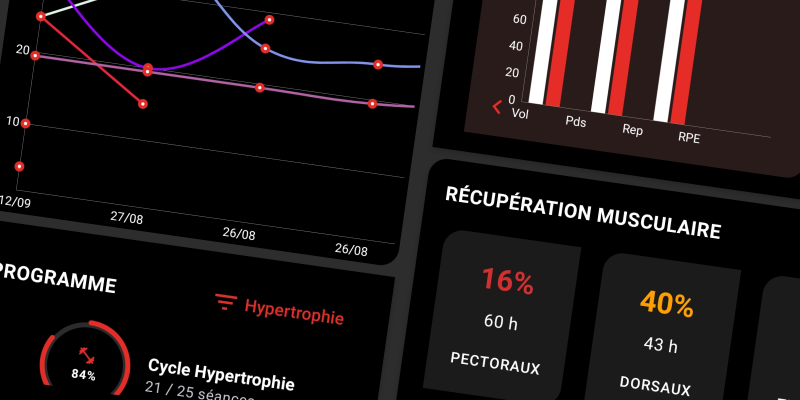 Interface FiTracking - Tableaux de bord statistiques personnalisées avec cercles progression et indicateurs clés