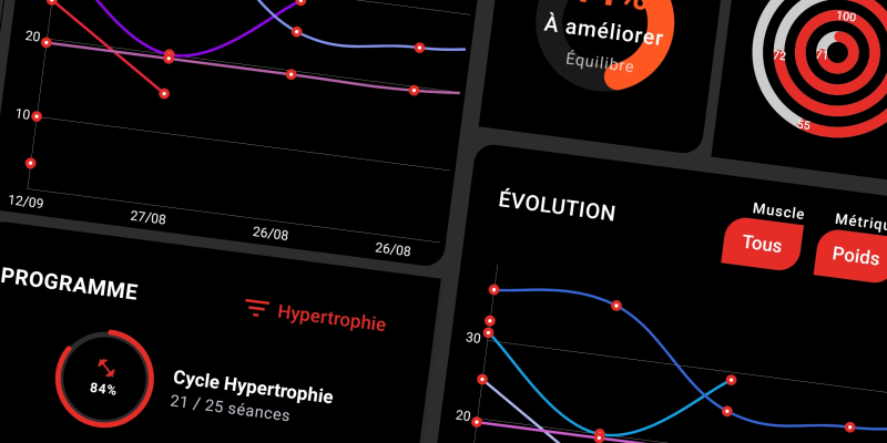 Interface FiTracking - Visualisation des volumes, charges et répétitions par muscle avec courbes de progression